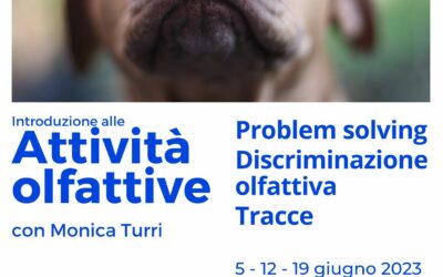 Giugno 23 – Attività olfattive