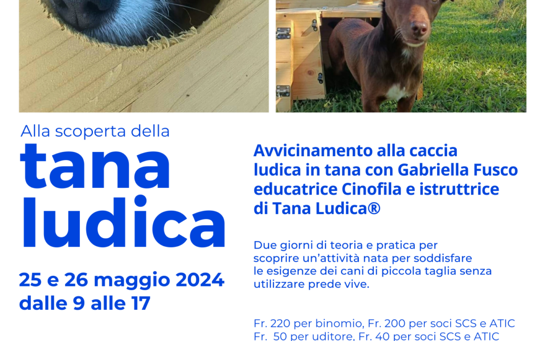 Tana Ludica – 25/26 maggio 2024