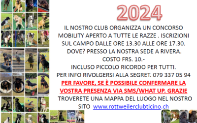 Mobility 12.10.2024