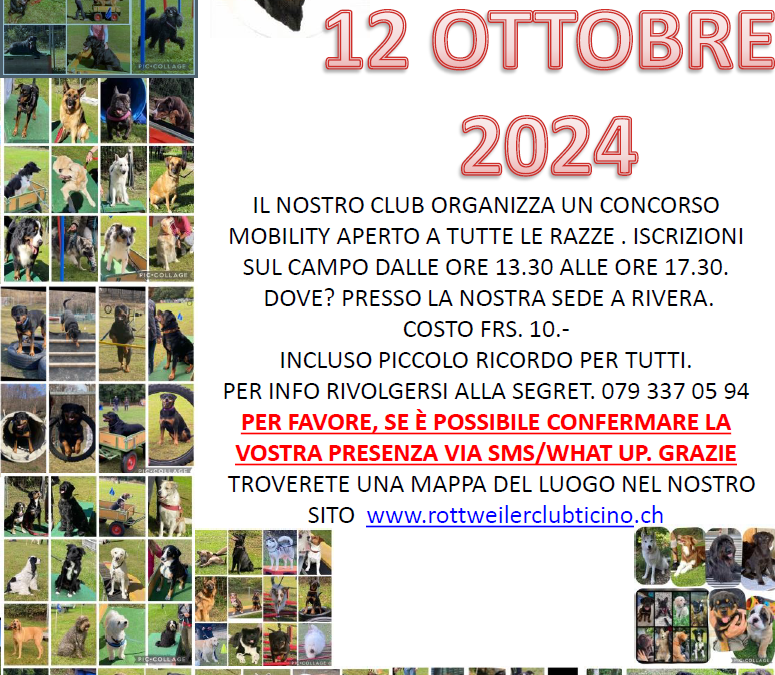Mobility 12.10.2024