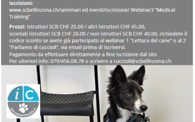 Medical Training – Webinar 3 (09.05.2025)