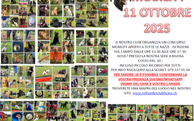 Mobility 11 ottobre 2025