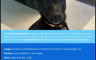 Corso teorico obbligatorio per futuri detentori di cani (29.08 – 05.09)